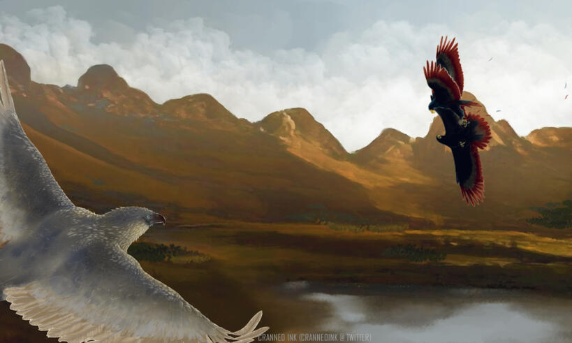 (Critical Role Fanart) Two mountain rocs battling over the Sorrowseep Waters as a snowy roc approaches from the foreground